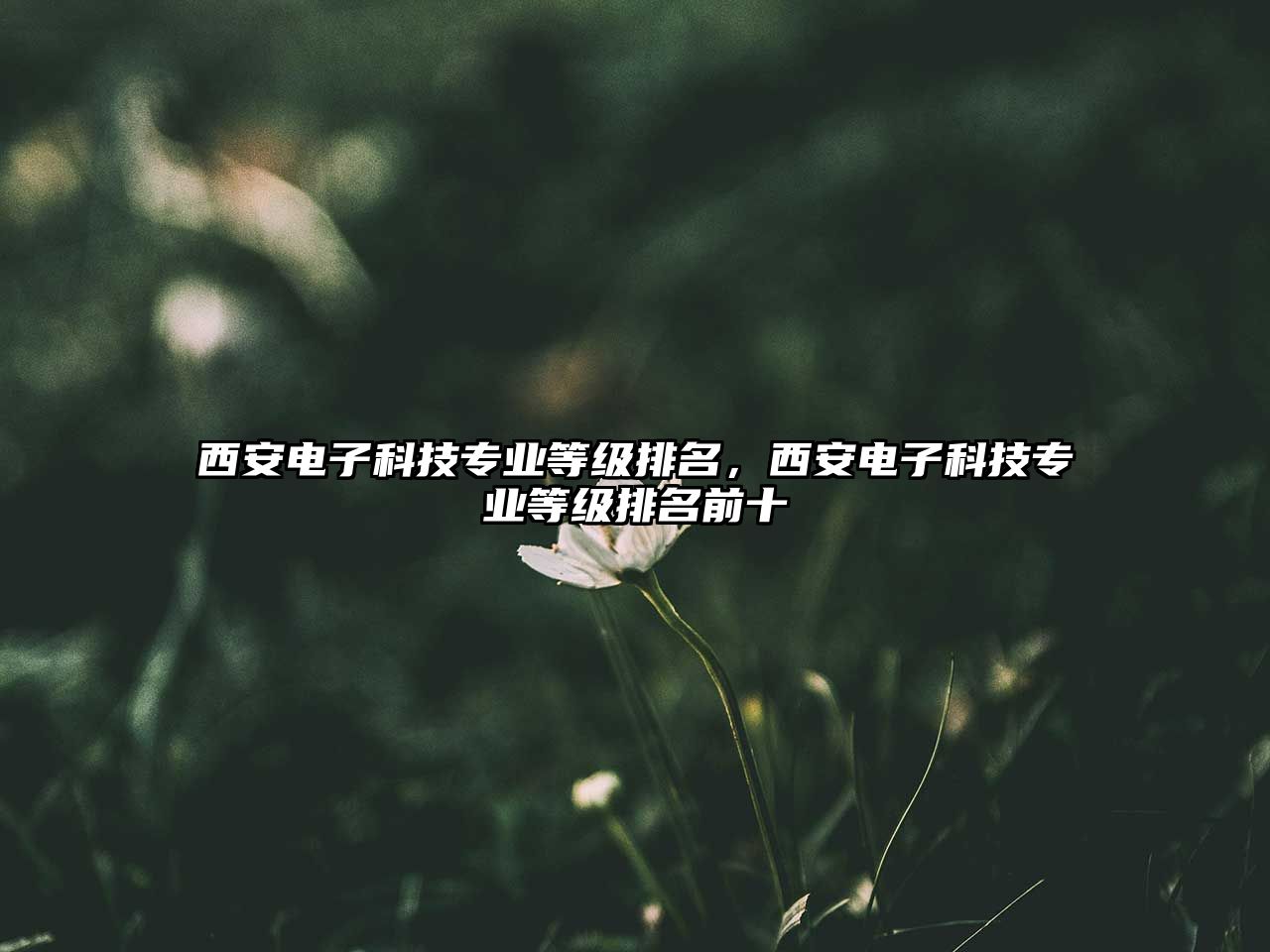 西安電子科技專(zhuān)業(yè)等級(jí)排名，西安電子科技專(zhuān)業(yè)等級(jí)排名前十